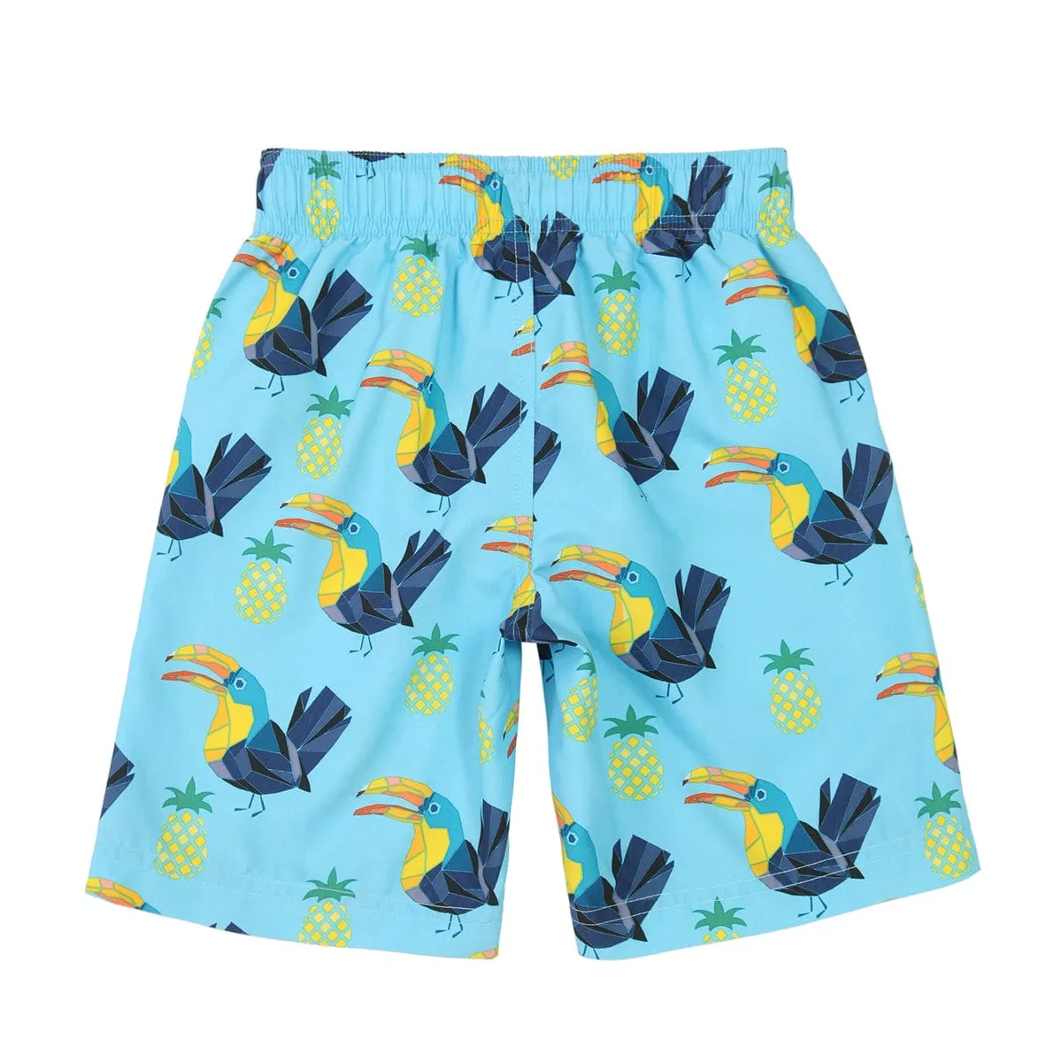 Boys' Quick Dry Mesh Lined Swim Trunks