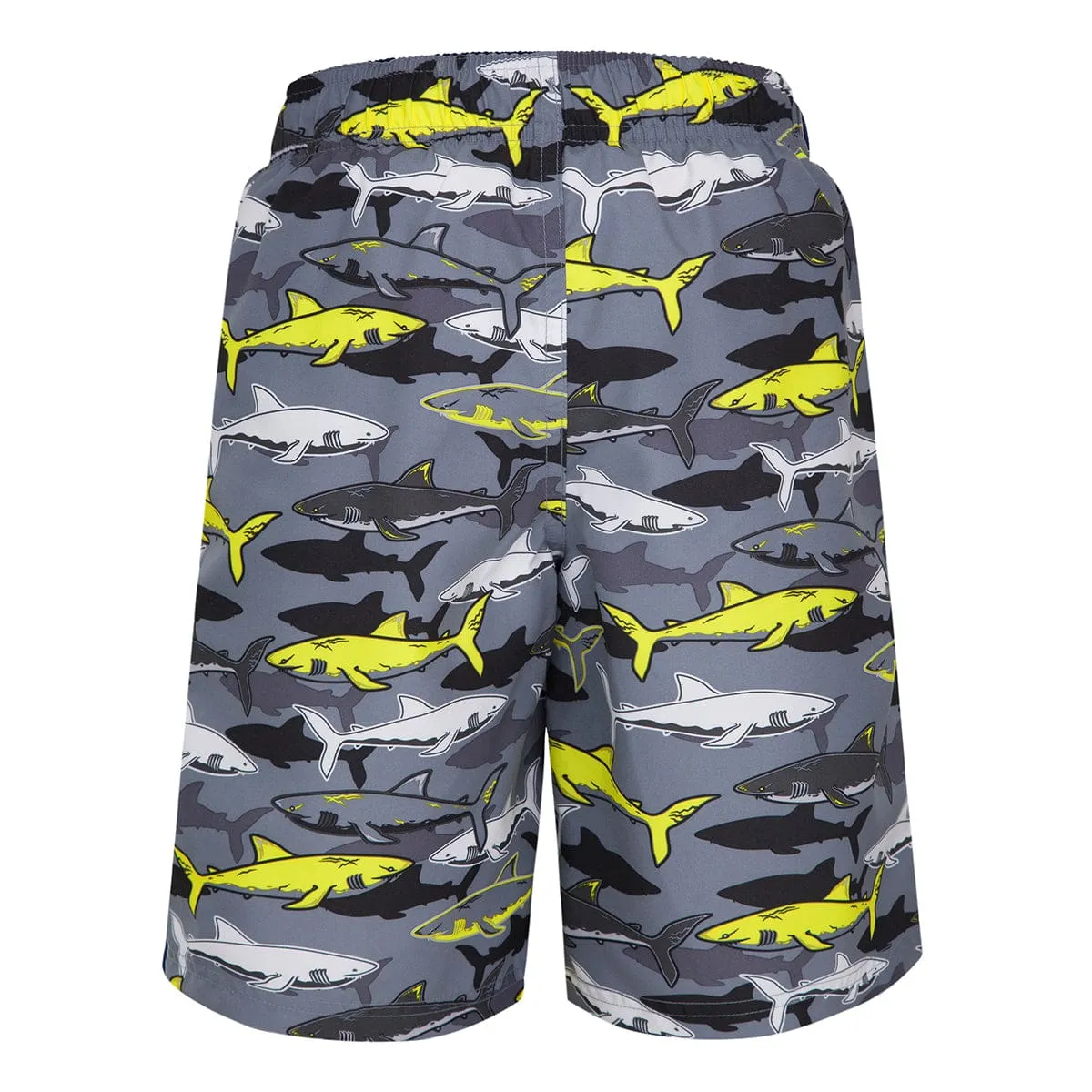 Boys' Quick Dry Mesh Lined Swim Trunks