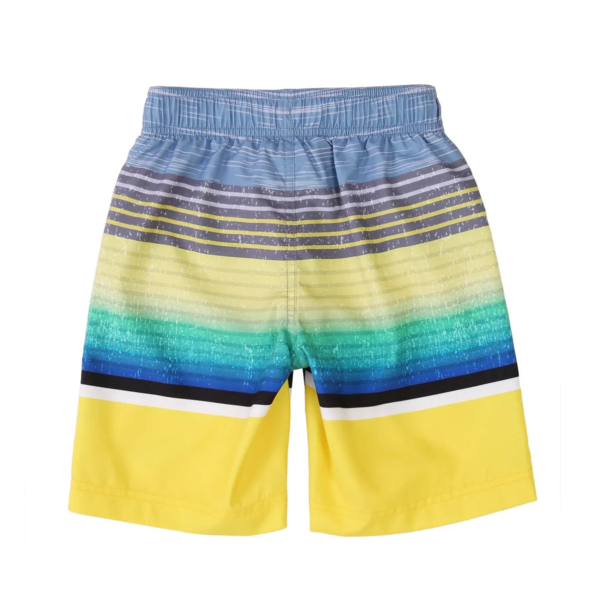 Boys' Quick Dry Mesh Lined Swim Trunks