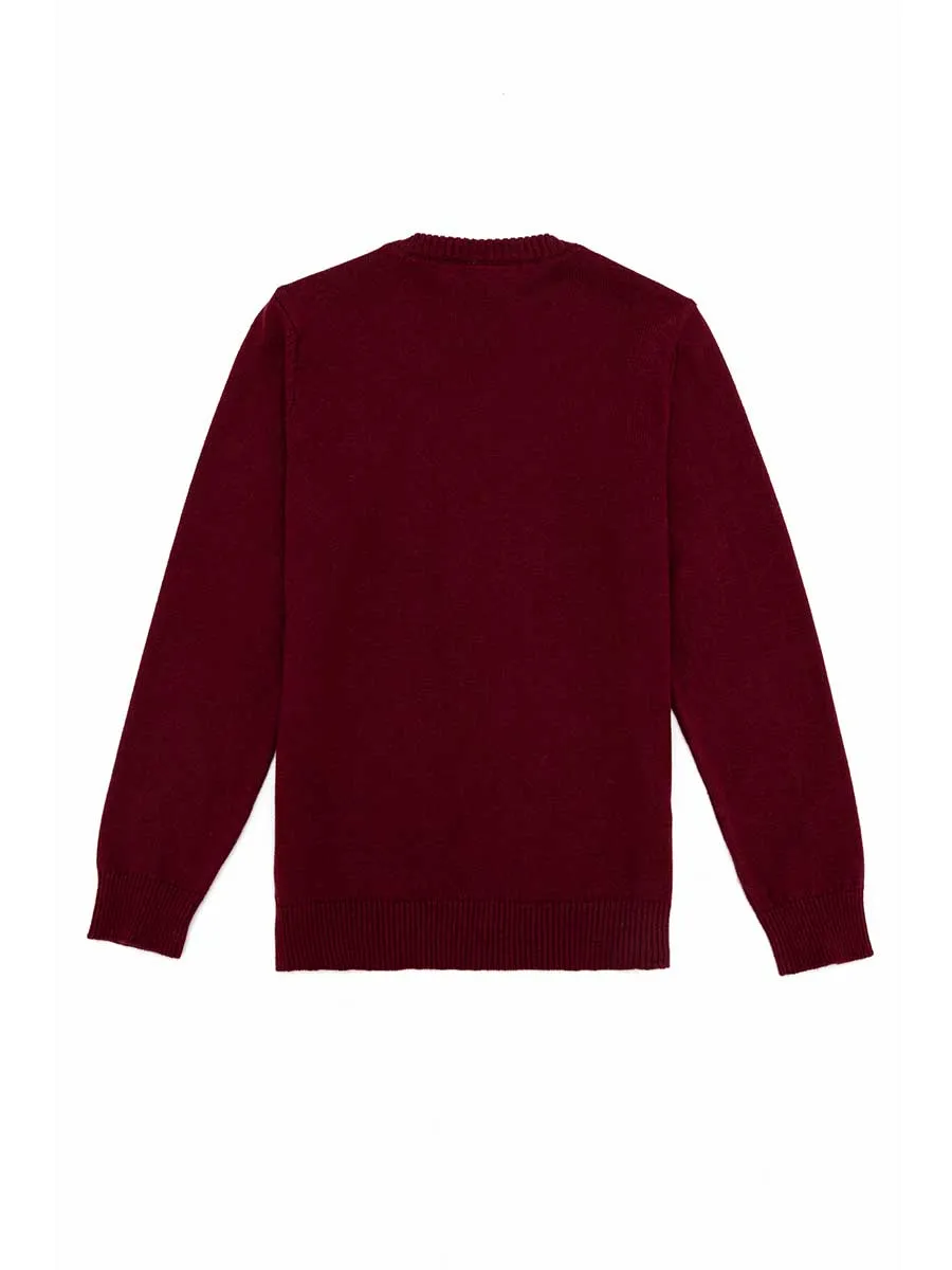 USPA Boys Jumper V/Neck Bordeaux VR014 USPJR345